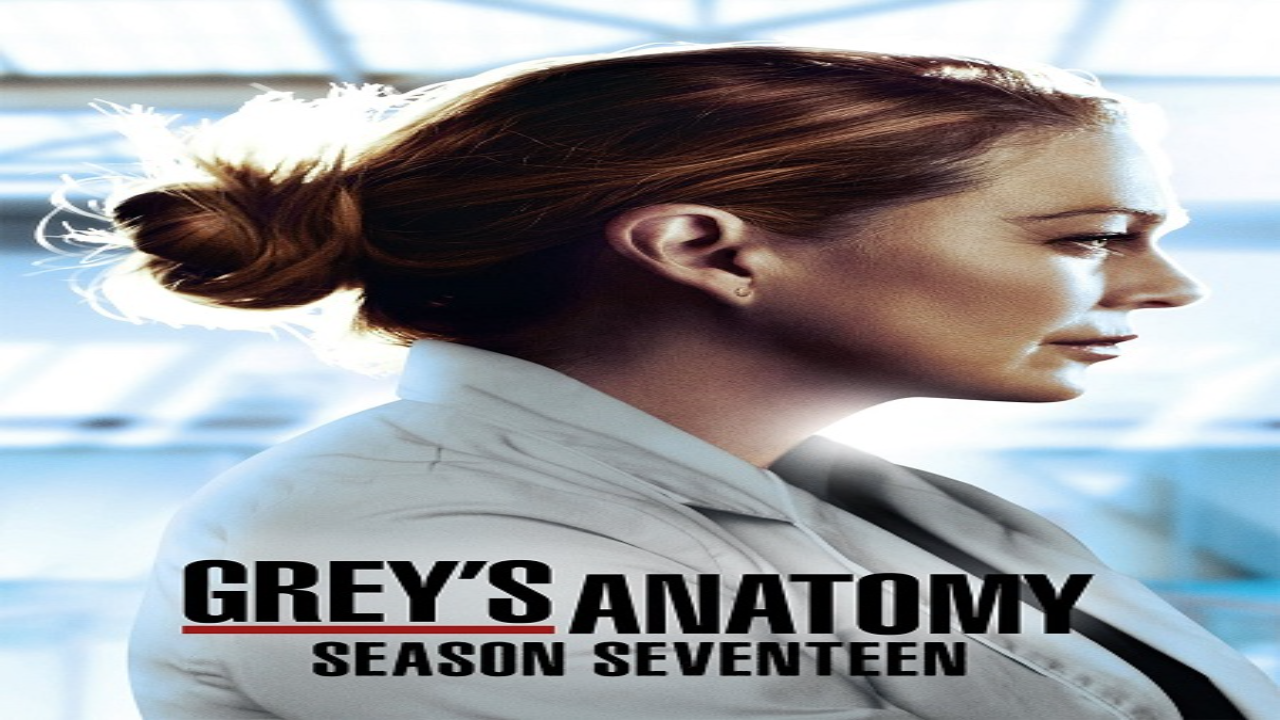 مسلسل Grey’s Anatomy الموسم السابع عشر مترجم