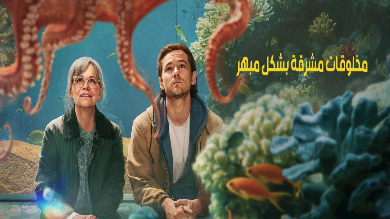 فيلم Remarkably Bright Creatures 2026 مترجم